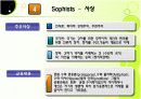 교육철학 및 교육사 - 그리스 14페이지