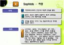 교육철학 및 교육사 - 그리스 15페이지