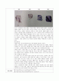 멥쌀과 찹쌀의 정성적 판정 2페이지