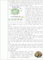 이스트의 종류와 반죽방법에 따른 식빵의 팽화상태 4페이지