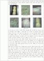 이스트의 종류와 반죽방법에 따른 식빵의 팽화상태 9페이지