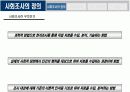 사회조사의 현황 및 전망  4페이지