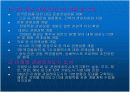 관광관련 기구와 활동 6페이지