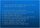 관광관련 기구와 활동 19페이지