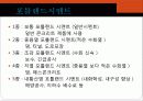 cement와 혼화재 및 혼화제 5페이지