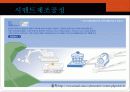 cement와 혼화재 및 혼화제 13페이지