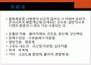 cement와 혼화재 및 혼화제 17페이지