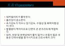 cement와 혼화재 및 혼화제 18페이지