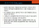 cement와 혼화재 및 혼화제 19페이지