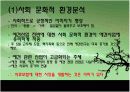 애견보험사업 창업 분석  3페이지