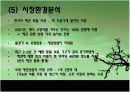 애견보험사업 창업 분석  10페이지