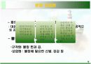 현대 사회와 여가 - 볼링 10페이지