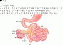 해부학에서의 인체 소화계에 대해서... 9페이지