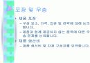 마케팅계획 7페이지