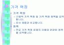 마케팅계획 12페이지