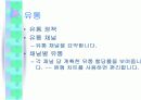 마케팅계획 13페이지