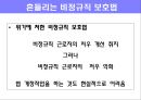 대한민국 비정규직 실태보고  25페이지
