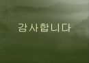 1930년대 김남천 문학연구 - 모던보이에서 민족주의 작가로  27페이지
