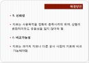성과주의예산 33페이지