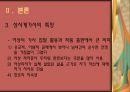 상사계가사(相思系歌辭) 연구  25페이지