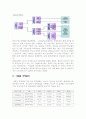 철강산업과 현대하이스코 2페이지