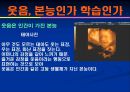 영화 '불을 찾아서' 를 통해 본 웃음의 기원 21페이지