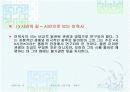 민족시인, 저항시인 이육사  13페이지