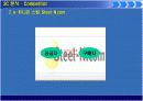 ESN (이상네트웍스) 분석 19페이지