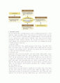 [공공관리론]정부회계체제상의 발생주의, 현금주의, 수정된 발생주의 비교분석과 방향 20페이지