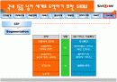 KTF SHOW 마케팅분석 15페이지
