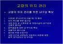 보도교의 설계와 조형미 (실제 국내외 아름다운 보도교 사진 다수) 3페이지