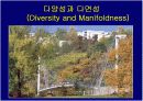보도교의 설계와 조형미 (실제 국내외 아름다운 보도교 사진 다수) 20페이지