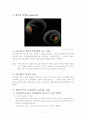 세포주기 (cell cycle) 7페이지