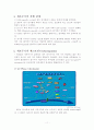 세포주기 (cell cycle) 11페이지