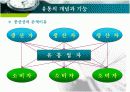 유통의 개념분석과 유통경로개발, 유통의 개념과 원리, 종류와 역학, 유통경로의 설계 프로세스 6페이지