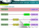 유통의 개념분석과 유통경로개발, 유통의 개념과 원리, 종류와 역학, 유통경로의 설계 프로세스 8페이지