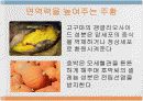 암의 예방과 장수 7페이지