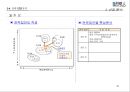 전략기획서 작성 Tool 분석 및전략적 사업계획서 작성 방법 41페이지