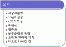 집중화 전략-블루클럽사례 2페이지