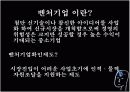 벤처기업, 넥슨과 아이리버 분석  3페이지
