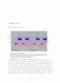 생명분자공학실험 14페이지
