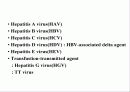 급성 바이러스성 간염 (acute viral hepatitis ) 3페이지