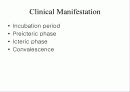 급성 바이러스성 간염 (acute viral hepatitis ) 5페이지