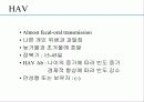 급성 바이러스성 간염 (acute viral hepatitis ) 13페이지