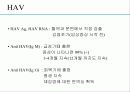급성 바이러스성 간염 (acute viral hepatitis ) 14페이지