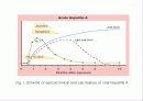 급성 바이러스성 간염 (acute viral hepatitis ) 15페이지