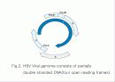 급성 바이러스성 간염 (acute viral hepatitis ) 19페이지