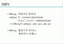 급성 바이러스성 간염 (acute viral hepatitis ) 21페이지