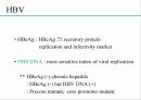 급성 바이러스성 간염 (acute viral hepatitis ) 22페이지