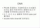 급성 바이러스성 간염 (acute viral hepatitis ) 23페이지